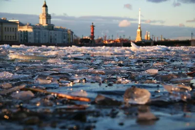 О Петербурге - Весна в Санкт-Петербурге