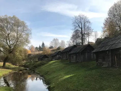 Все новости по тэгу - Яррег - новости Ярославской области