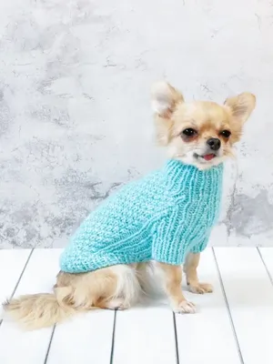 ВЯЗАНАЯ ОДЕЖДА ДЛЯ СОБАК (@dog.knitting) • Instagram photos and videos