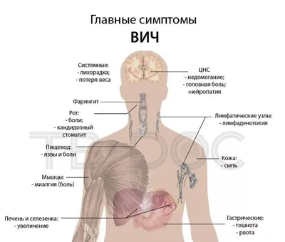 Профилактика ВИЧ-инфекции | Правительство Республики Крым | Официальный  портал