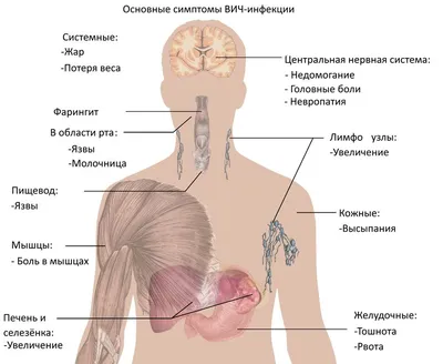 ВИЧ-инфекция - ГБУЗ СО «Новокуйбышевская центральная городская больница»