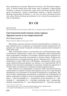 Кафедральный собор Михаила Архангела, Архангельск (Архангельск, город),  фотография. художественные фотографии Вид с высоты птичьего полета