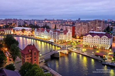 Топ 10 достопримечательностей Калининграда — Маливи