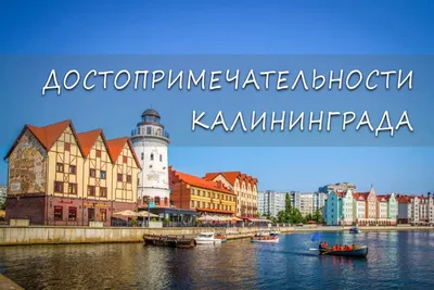 В Калининграде назвали бредом предложение Эстонии переименовать город — РБК