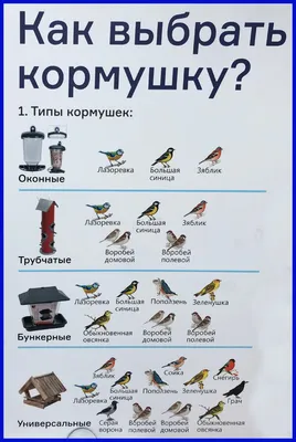 Кормушка для птиц своими руками. Как сделать своими руками кормушки из  обычных материалов - Статья - Журнал - FORUMHOUSE