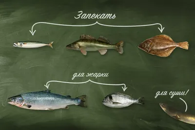 Морские рыбы - Аквариумы, аквариумные аксессуары и рыбки, установка и  обслуживание аквариумов в Новосибирске, зоотовары, фонтаны, водопады -  Аквасервис, аквариумные салоны в Новосибирске