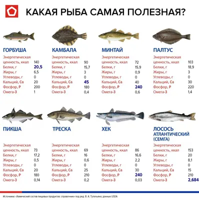 Морская или речная рыба: какую лучше запекать, жарить и варить, а какую  можно есть сырой | Fresh.ru домашние рецепты | Дзен