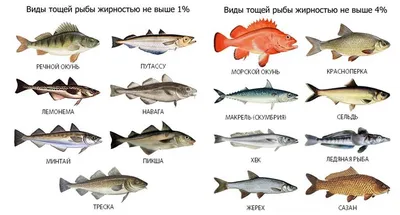 Морские рыбы - Аквариумы, аквариумные аксессуары и рыбки, установка и  обслуживание аквариумов в Новосибирске, зоотовары, фонтаны, водопады -  Аквасервис, аквариумные салоны в Новосибирске