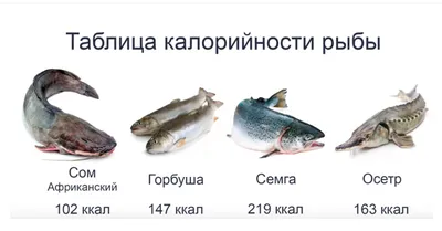 Виды рыб для УЗВ » FISH-AGRO | Проектирование и поставка оборудования для  рыборазведения в УЗВ | +7-499-390-15-50