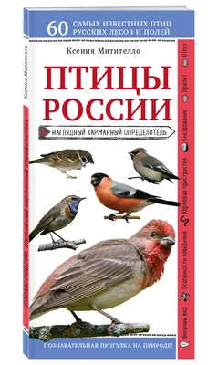 Птицы России. Определитель. Волцит П., Мосалов А. - «Серия \"Лучший  определитель\", а определитель далеко не лучший и точно не универсальный» |  отзывы