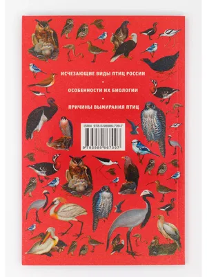 Мосалов А.А., Волцит П.М. \"Птицы России. Определитель\" — купить в  интернет-магазине по низкой цене на Яндекс Маркете