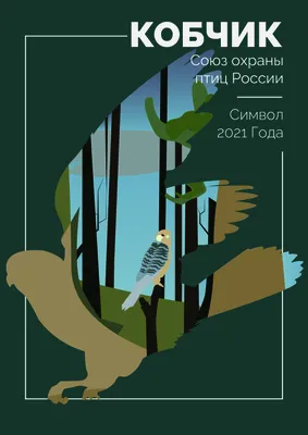 Иллюстрация 1 из 16 для Красная книга. Птицы России - Оксана Скалдина |  Лабиринт - книги. Источник: Лабиринт