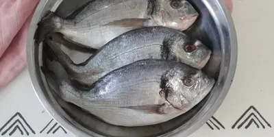 Где поесть морепродукты в Нячанге, лучшие рекомендации этого года