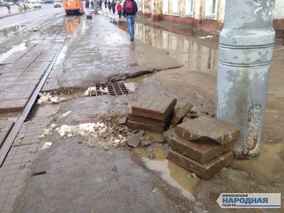 Вид на Заднепровье от... - Смоленск - Ландшафты и сообщества - Плантариум