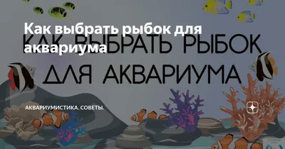 Самые неприхотливые аквариумные рыбки, советы по выбору, уходу