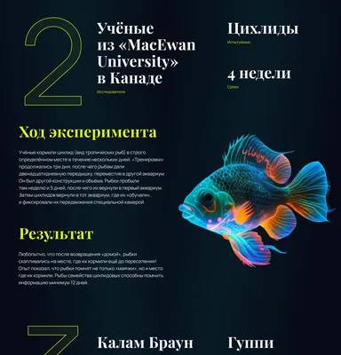 Последние публикации на сайте » Страница 7 » FISH-AGRO | Проектирование и  поставка оборудования для рыборазведения в УЗВ | +7-499-390-15-50