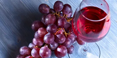 Вино Vista Espana Tinto 12% - купить в Алматы, Алкогольный магазин |  AlcoPlus.kz