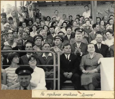 ФОТОГРАФИЯ СТАРИННАЯ ФОТОГРАФ РАЕВСКИЙ ВОЛОГДА М. ПЕТРОВКА С АВТОГРАФОМ  НОВИКОВА 1911 ГОД ВЯТКА — покупайте на Auction.ru по выгодной цене. Лот из  - Другие страны -, Киров . Продавец dimonakva. Лот 180742229238890