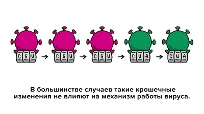 Вирус в кубической «броне»: найден удобный доставщик лекарств