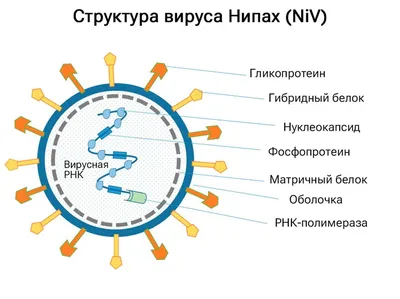 Очень Страшный Вирус, Очень Страшный Вирус 2, Очень Страшный Вирус 3…