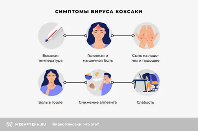 Энтеровирусная инфекция Коксаки ✓ Авторские статьи Клиники подологии Полёт  в Москве