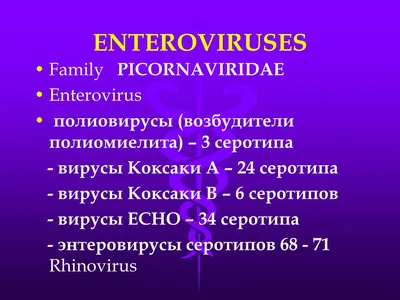 В Твери массово распространяется вирус Коксаки, а врачи пишут - ОРВИ - МК  Тверь