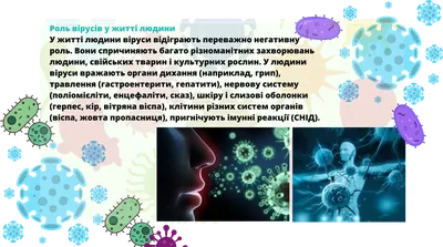 Презентація для 5 класу на тему ,,Хто такі бактерії та чим особливі віруси,,