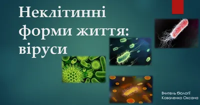 Захворюваність на грип та ГРВІ: уперше з початку епідсезону виявлено віруси  грипу | Центр громадського здоров'я