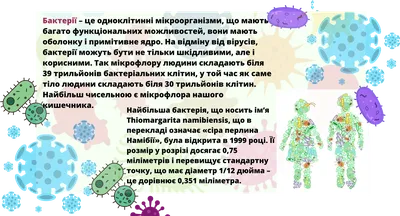 Охота на вирус купить в интернет магазине с доставкой по Украине | MYplay