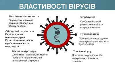 Книга «Вірусосфера. Від застуди до COVID – навіщо людству віруси» – Фрэнк  Райан, купить по цене 240 на YAKABOO: 978-617-7544-70-7