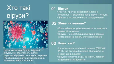 Вируси | Видове вируси и структура | Viruxan.bg