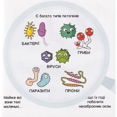 22: Віруси - LibreTexts - Ukrayinska