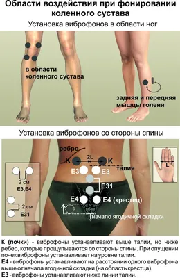 Комплект Витафон-5 для коленного сустава