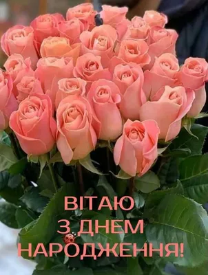 Pin by Nadin on Вітаю | Birthday wishes flowers, Flowers, Beautiful roses