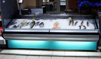 Aurora SQ — витрина для презентации рыбы и морепродуктов в супермаркете  SPAR — Brandford