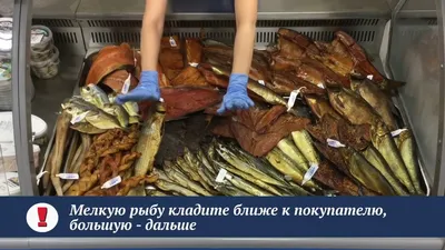 Холодильная витрина Ариада Бьянка ВУ17Р-160 рыба на льду купить в  Екатеринбурге по цене 166 532 рублей