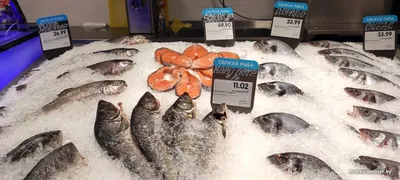 Холодильная витрина \"Рыба на льду\" — РОСС купить, заказать. Цена.