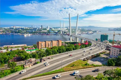 Здравствуй, город у моря, Владивосток (с экскурсиями по Сафари-парку,  бухтам Уссурийского залива, посещением музея Женьшеня, Приморского  Океанариума и шоу морских млекопитающих, 5 дней + авиа) - Дальний Восток  (Приморский край и Владивосток)