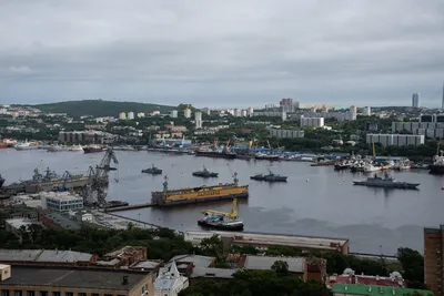 В сети представили видеопрезентацию города-спутника Владивостока с рыбным  рынком и яхтенной мариной - KP.RU