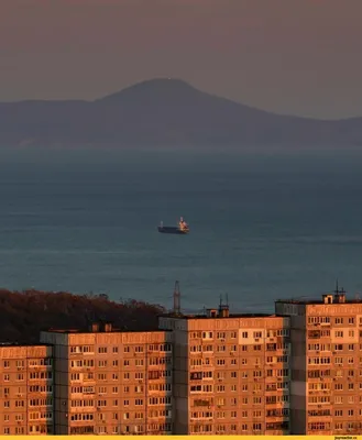 Прогулка, Теплый февраль, панорама, вид на мост, золотой мост, Владивосток  | Красивые места, Пейзажи, Поездки