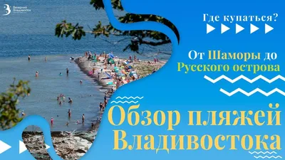 Роспотребнадзор нашел во Владивостоке чистое море — РБК