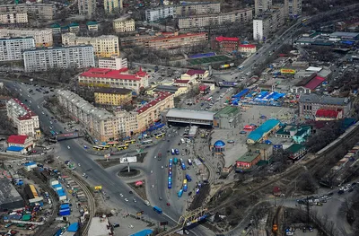 Гостям Восточного экономического форума покажут Владивосток с пилона  Золотого моста - KP.RU