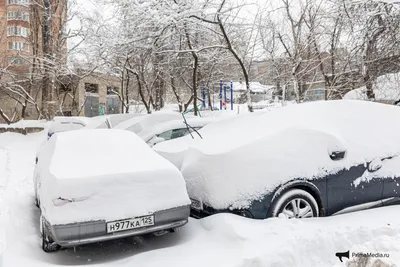 Погода во Владивостоке сегодня потенциально опасна