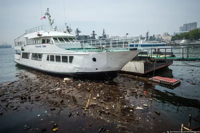 Названо время удара рекордного снегопада во Владивостоке сегодня -  PrimaMedia.ru