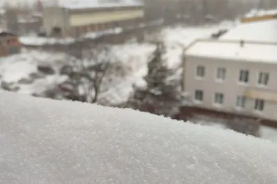 Владивосток попрощался с самой необычной зимой последних лет - PrimaMedia.ru