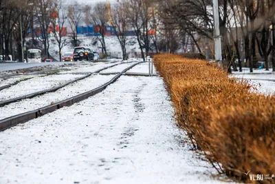 Настоящая зима: снегопад накрыл Владивосток