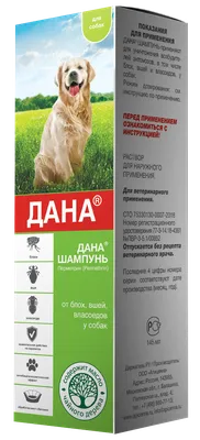 Власоеды у собак и кошек: симптомы, лечение, профилактика | Блог  зоомагазина Zootovary.com