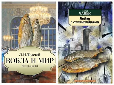 Омичка о городе: Алёна Шапарь об арт-кластерах, мечтах о комфорте и  набережных | Медиа «Трамплин» Омск