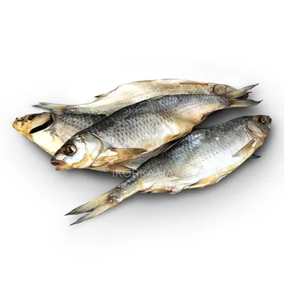 Сушёная плотва - Fishop рыбный магазин - магазин рыбы