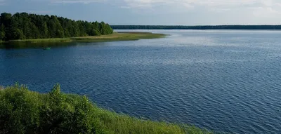 Вода в бутылках: какой она бывает? - Росконтроль